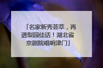 名家新秀荟萃，再谱梨园佳话！湖北省京剧院唱响津门